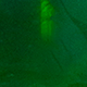Color: green jade